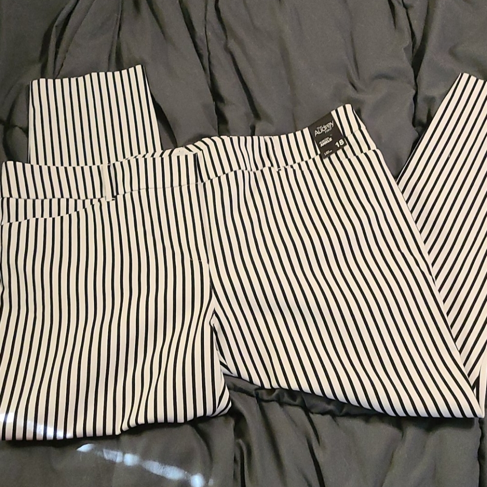 Dress pants